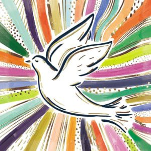 Dove Christmas Card - Pack of 10